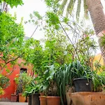 Εξοχικό σπίτι La Asomada Del Gato Σαν Κριστόμπαλ ντε Λα Λαγούνα
