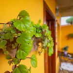 Εξοχικό σπίτι La Asomada Del Gato *