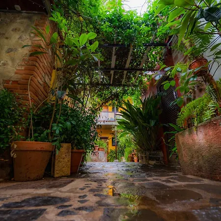 La Asomada Del Gato Gospodarstwo wiejskie *