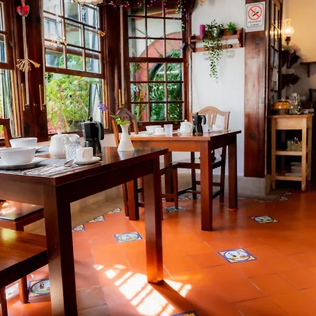 La Asomada Del Gato La Laguna (Tenerife)