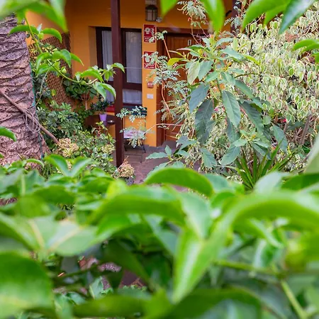 La Asomada Del Gato * La Laguna (Tenerife)