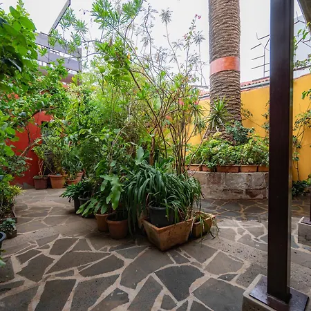 Gospodarstwo wiejskie La Asomada Del Gato La Laguna (Tenerife)