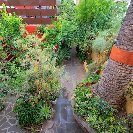 La Asomada Del Gato Gospodarstwo wiejskie