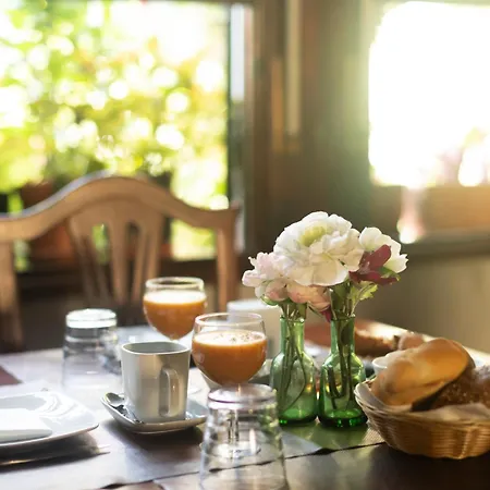 Gospodarstwo wiejskie La Asomada Del Gato La Laguna (Tenerife)