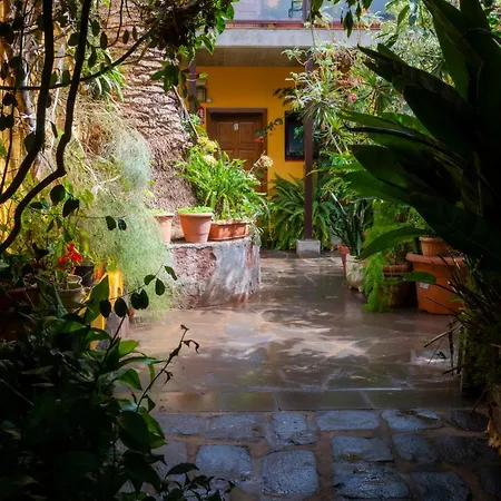 Gospodarstwo wiejskie La Asomada Del Gato La Laguna (Tenerife)