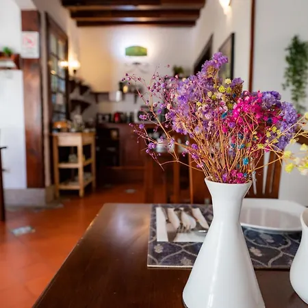 La Asomada Del Gato La Laguna (Tenerife)