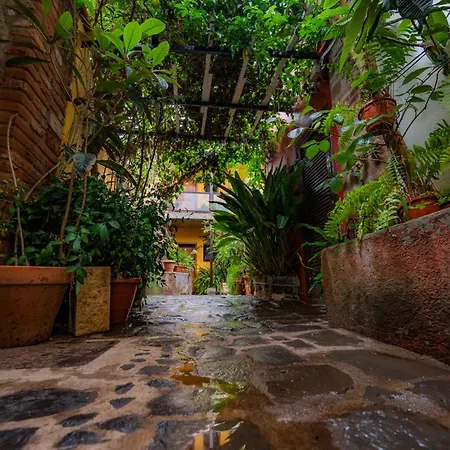 La Asomada Del Gato La Laguna (Tenerife)