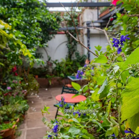 La Asomada Del Gato Gospodarstwo wiejskie La Laguna (Tenerife)