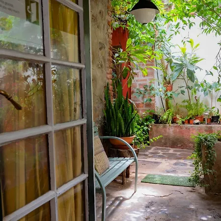 La Asomada Del Gato Landsted