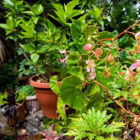 La Asomada Del Gato Gospodarstwo wiejskie *