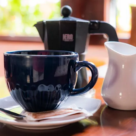 La Asomada Del Gato Gospodarstwo wiejskie La Laguna (Tenerife)