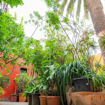 Gospodarstwo wiejskie La Asomada Del Gato La Laguna (Tenerife)