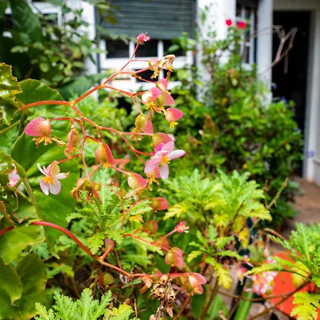 La Asomada Del Gato Gospodarstwo wiejskie