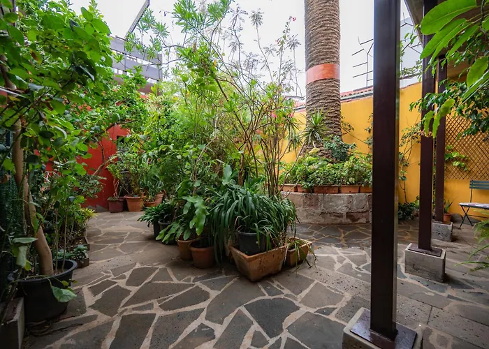 בית כפרי La Asomada Del Gato לה לגונה