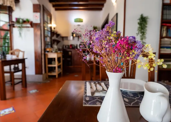 La Asomada Del Gato לה לגונה