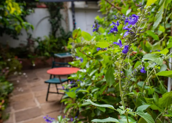 La Asomada Del Gato לה לגונה