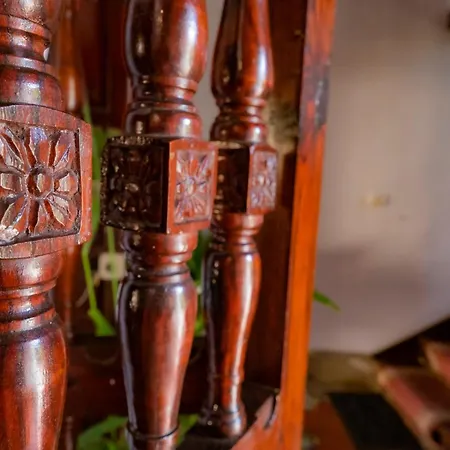 La Asomada Del Gato Летний дом *