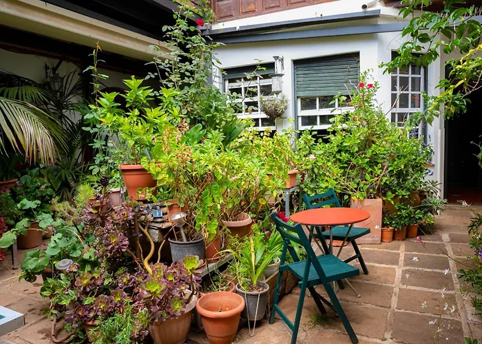 La Asomada Del Gato Летний дом