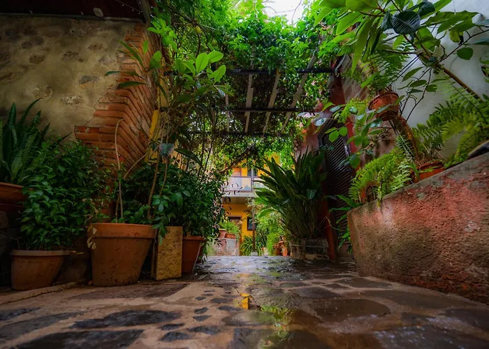 La Asomada Del Gato Летний дом *