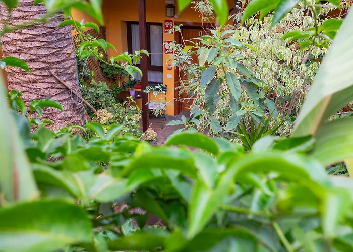 La Asomada Del Gato * Сан-Кристобаль-де-Ла-Лагуна