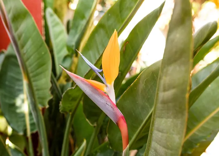 Летний дом La Asomada Del Gato *