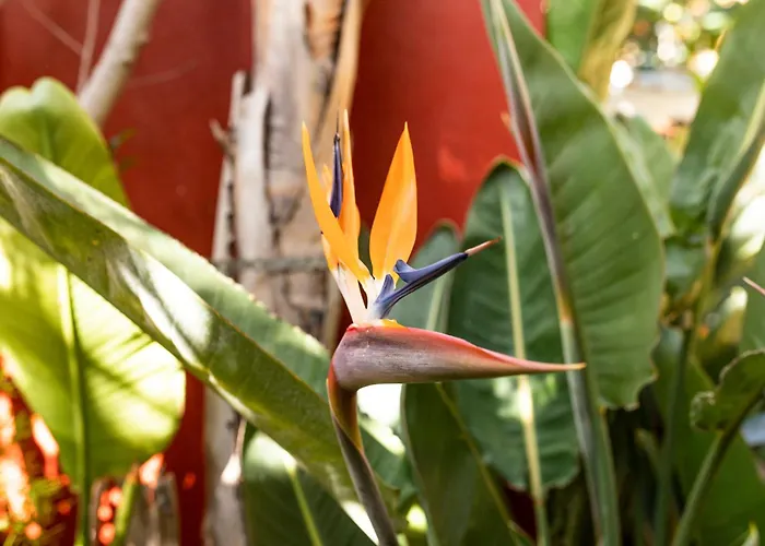 Летний дом La Asomada Del Gato Сан-Кристобаль-де-Ла-Лагуна