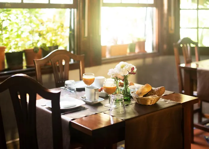 La Asomada Del Gato * Сан-Кристобаль-де-Ла-Лагуна