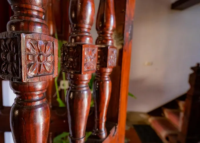 La Asomada Del Gato Летний дом *