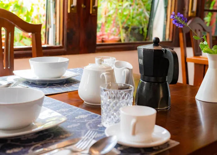 La Asomada Del Gato Летний дом Сан-Кристобаль-де-Ла-Лагуна