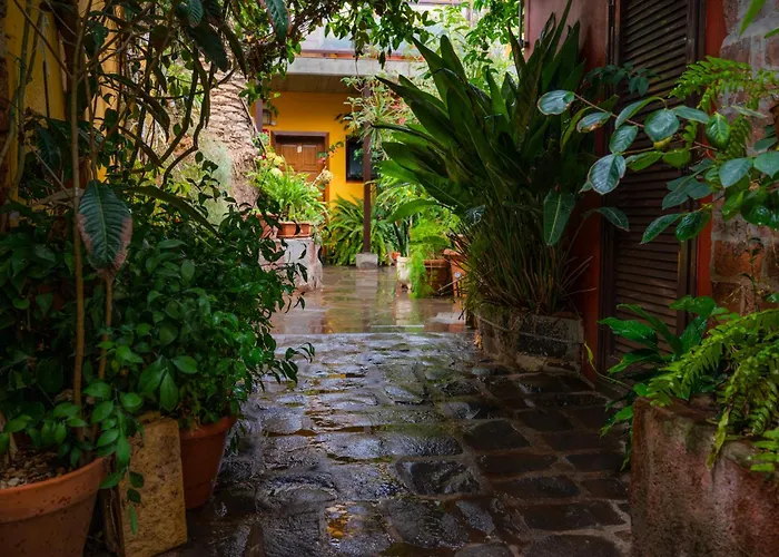 La Asomada Del Gato Летний дом *