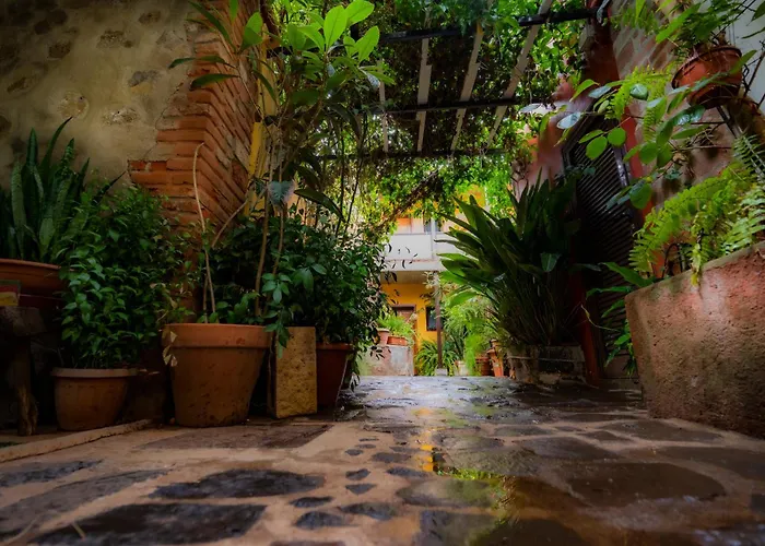 La Asomada Del Gato Летний дом *