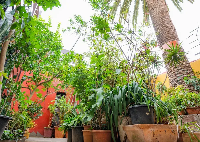 Летний дом La Asomada Del Gato Сан-Кристобаль-де-Ла-Лагуна