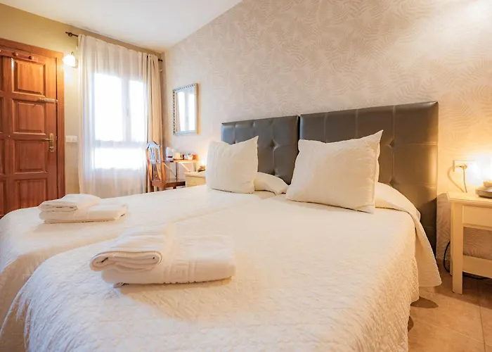 La Asomada Del Gato *