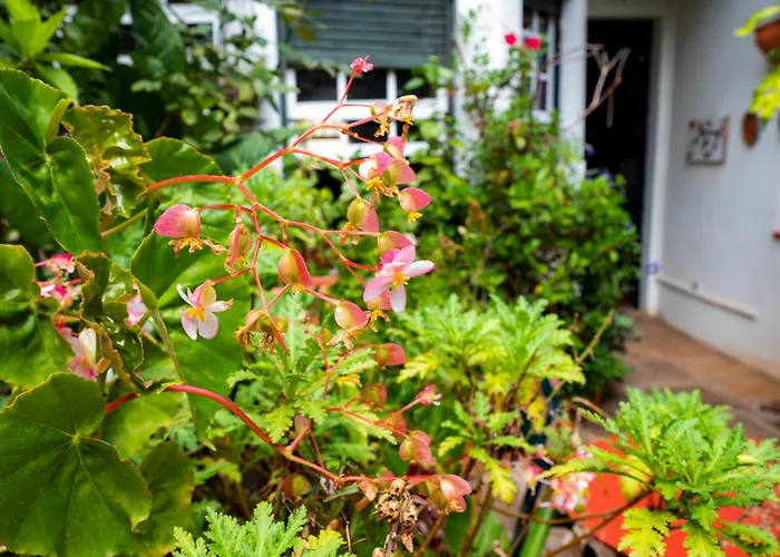 La Asomada Del Gato Летний дом