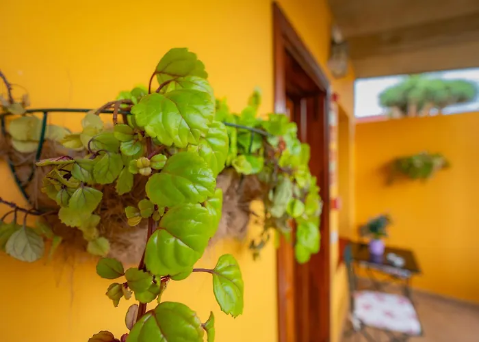 Landhaus La Asomada Del Gato *